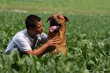 ENFANT ET CHIEN 377